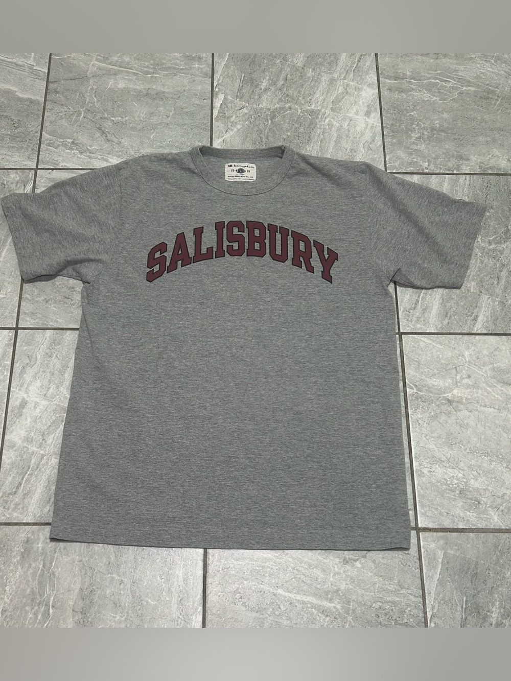 Y2K Champion Salisbury College Graphic T-Shirt Gray Men’s Large